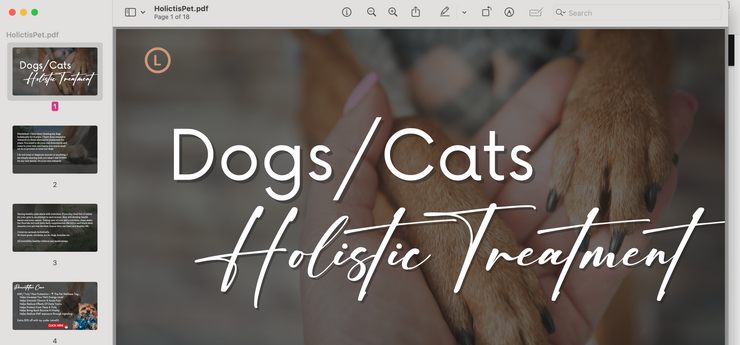 Holistic PET PDF